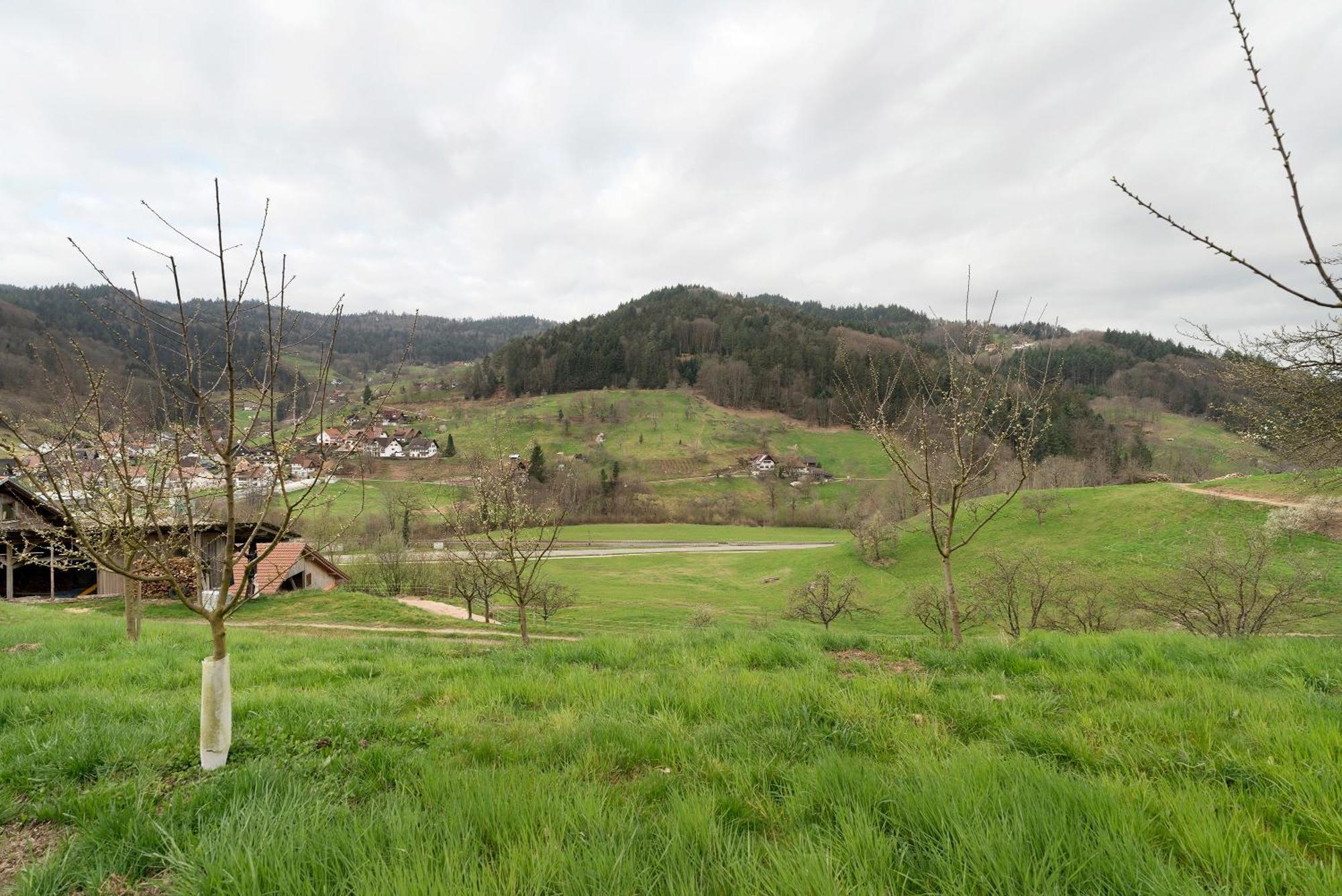 شقة Haus Am Schroffen Ottenhofen im Schwarzwald المظهر الخارجي الصورة