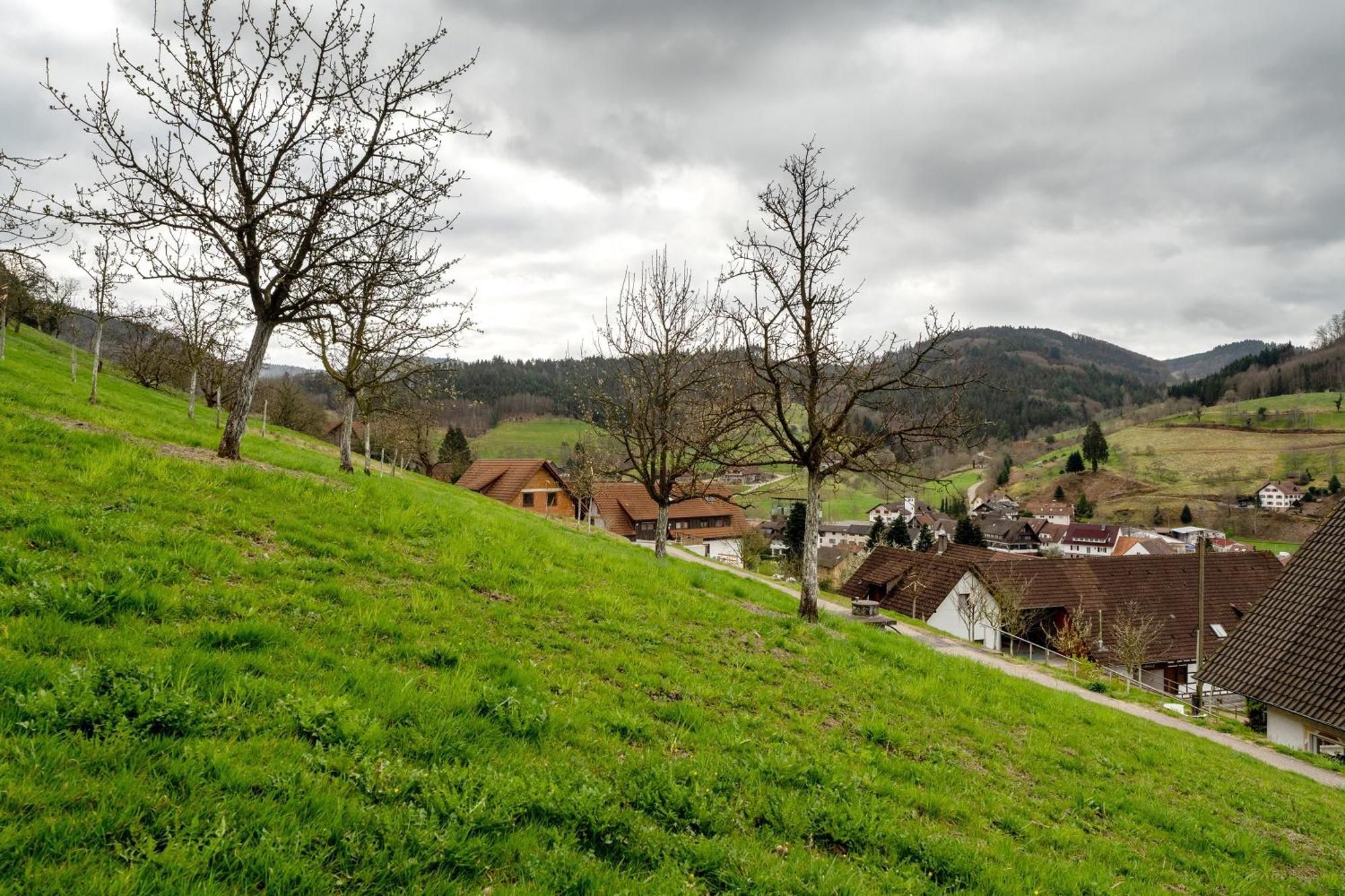 شقة Haus Am Schroffen Ottenhofen im Schwarzwald المظهر الخارجي الصورة